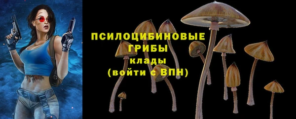 соль ск Вяземский