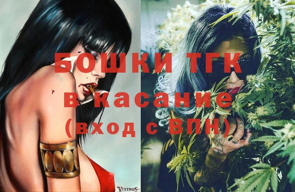 шишки Волоколамск