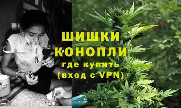 трава Покачи