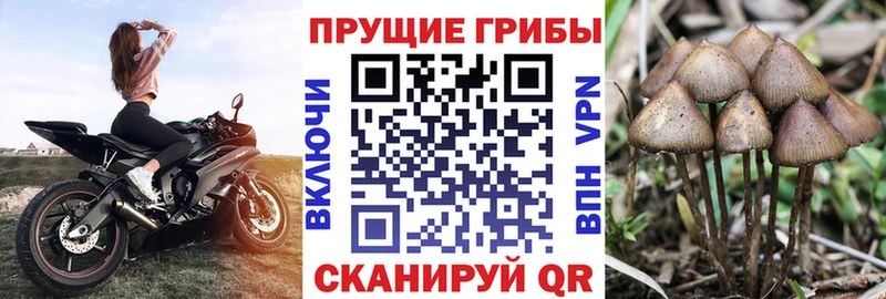 Псилоцибиновые грибы MAGIC MUSHROOMS  Злынка 