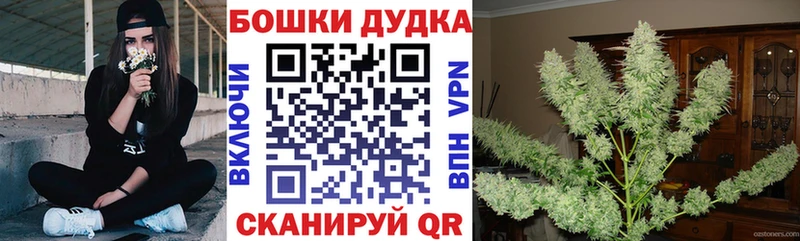 купить Злынка Конопля SATIVA & INDICA